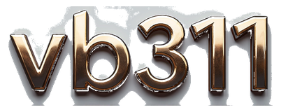 vb311 logo